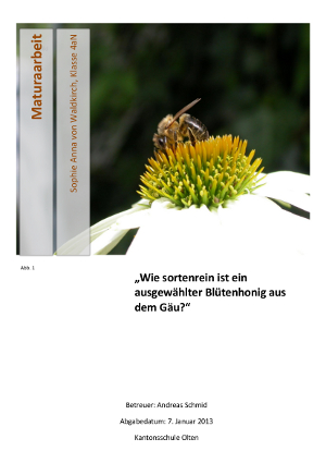 Bericht des BZ Olten