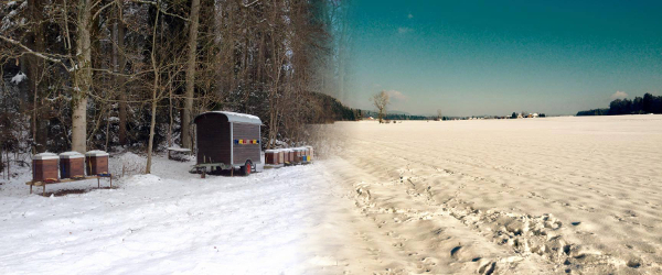 Winterruhe