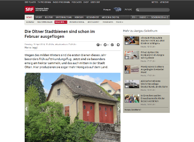 Bericht des BZ Olten